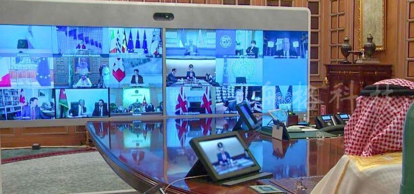 G20的遠程視頻峰會